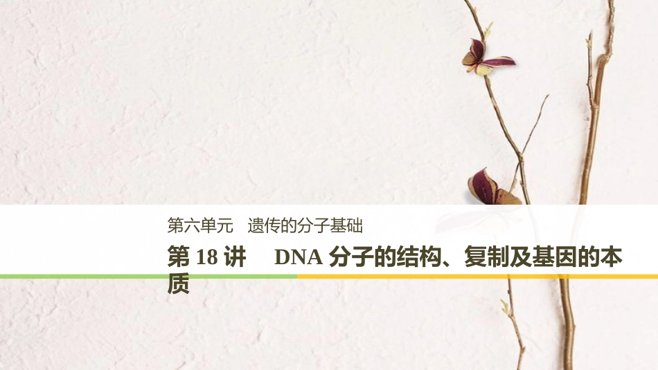 高考生物大一轮复习 第六单元 遗传的分子基础 第18讲 DNA分子的结构、复制及基因的本质课件(1)_第1页