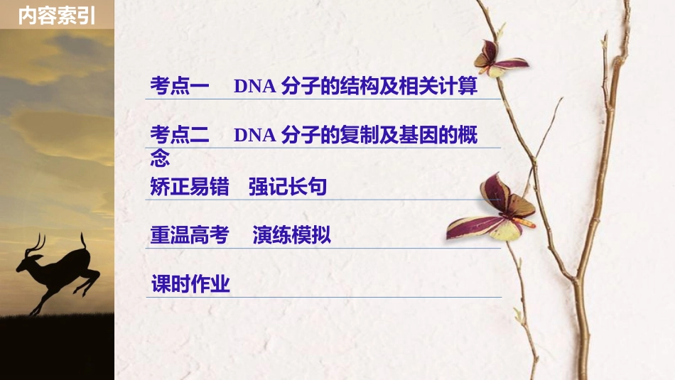 高考生物大一轮复习 第六单元 遗传的分子基础 第18讲 DNA分子的结构、复制及基因的本质课件(1)_第3页