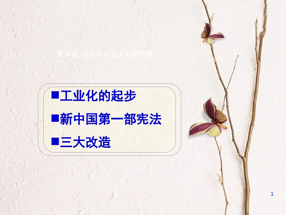 八年级历史下册 第3课 迈向社会主义初级阶段课件2 中图版(1)_第1页