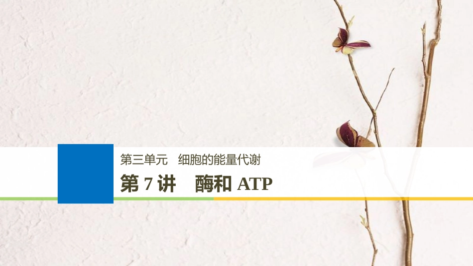 生物高考大一轮复习 第三单元 细胞的能量代谢 第7讲 酶和ATP课件 北师大版(1)_第1页