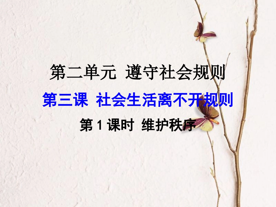 广东省河源市八年级道德与法治上册 第二单元 遵守社会规则 第三课 社会生活离不开规则 第1框 维护秩序课件 新人教版_第1页