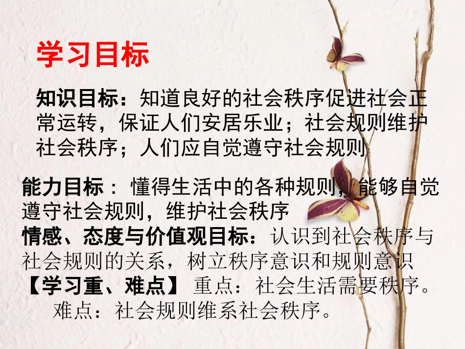 广东省河源市八年级道德与法治上册 第二单元 遵守社会规则 第三课 社会生活离不开规则 第1框 维护秩序课件 新人教版_第2页