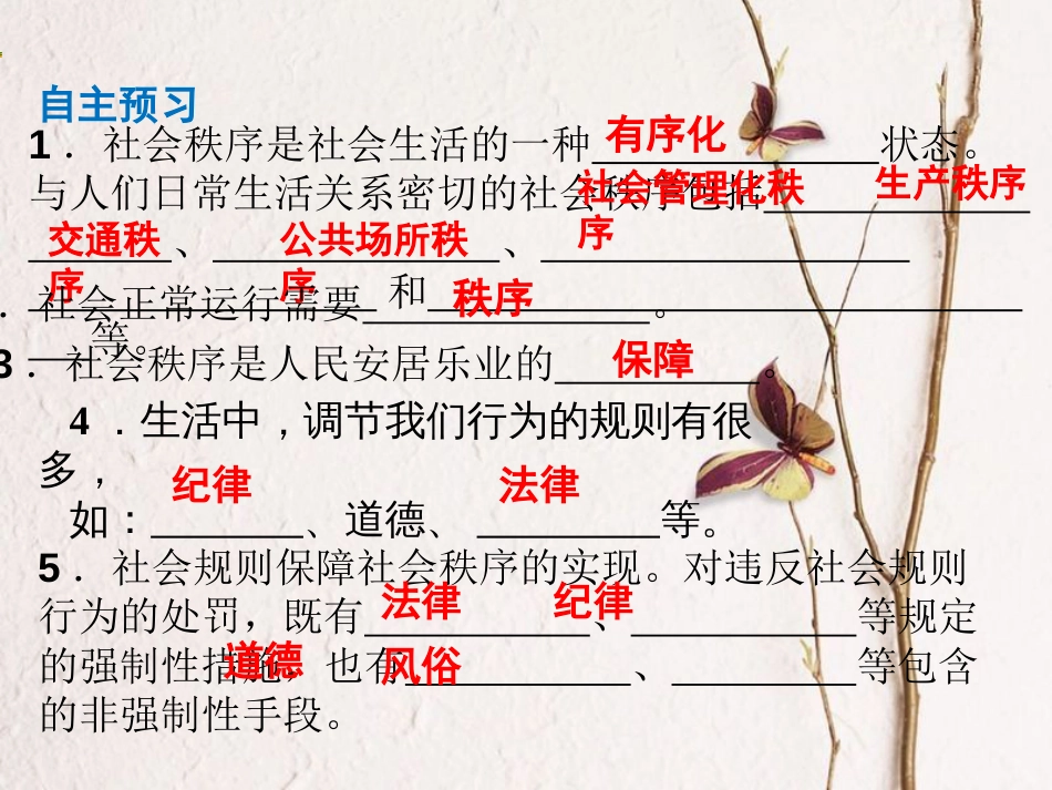 广东省河源市八年级道德与法治上册 第二单元 遵守社会规则 第三课 社会生活离不开规则 第1框 维护秩序课件 新人教版_第3页