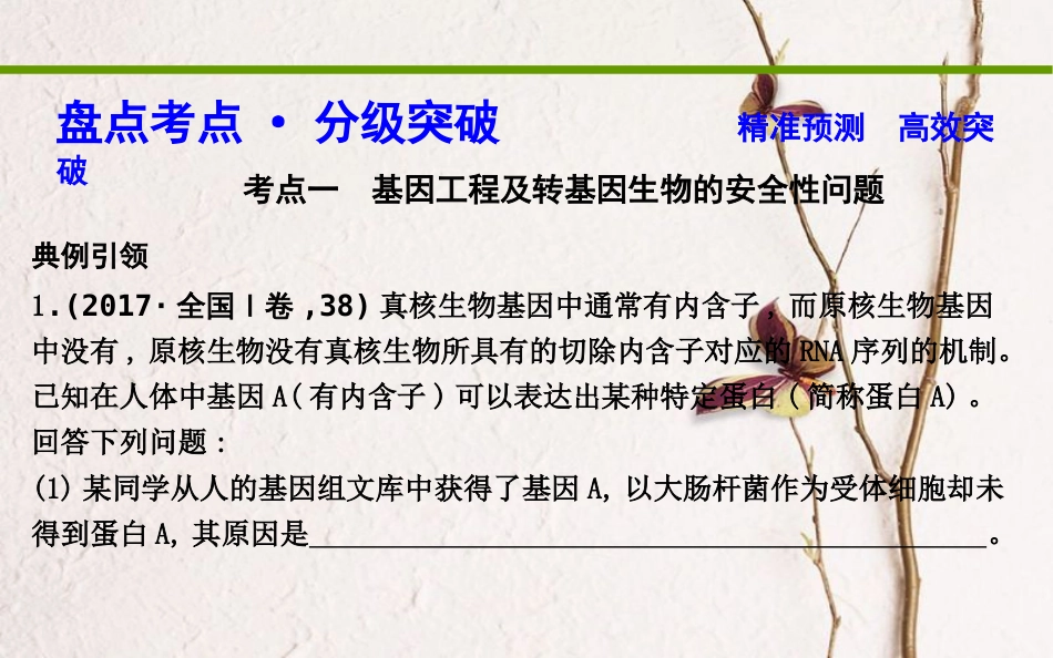 高考生物二轮复习 专题八 现代生物科技专题课件_第3页