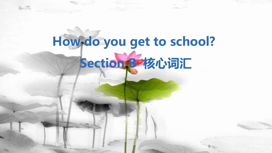 七年级英语下册 Unit 3 How do you get to school Section B核心词汇课件 （新版）人教新目标版(1)_第1页