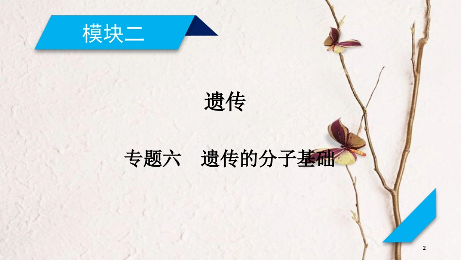 高考生物大二轮复习 专题六 遗传的分子基础复习指导课件(1)_第2页