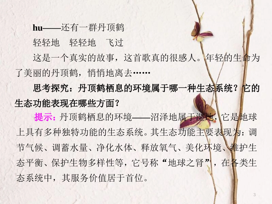 高中地理 第四章 生态环境保护 第三节 湿地干涸及其恢复课件 新人教版选修6_第3页
