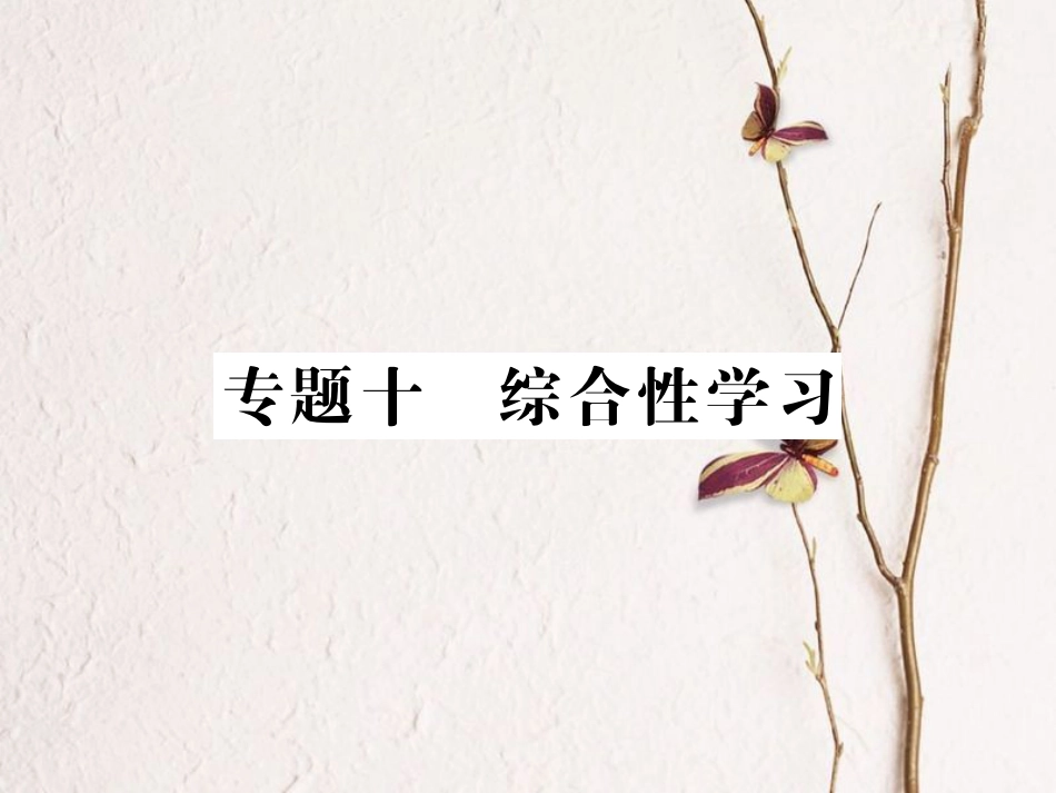 中考语文二轮复习 专题突破讲读 第2部分 综合实践与探究 专题十 综合性学习课件_第1页