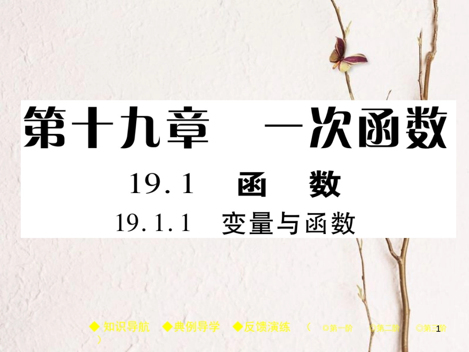 八年级数学下册 19《一次函数》19.1 变量与函数 19.1.1 变量与函数习题课件 （新版）新人教版_第1页