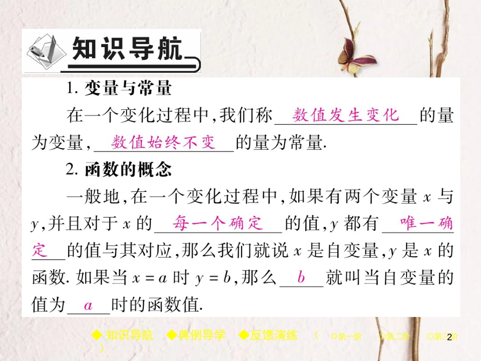 八年级数学下册 19《一次函数》19.1 变量与函数 19.1.1 变量与函数习题课件 （新版）新人教版_第2页