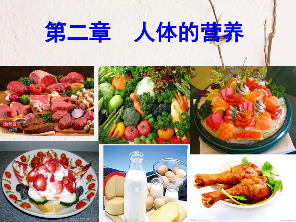 七年级生物下册 第4单元 第2章 第1节 食物中的营养物质课件 （新版）新人教版_第1页