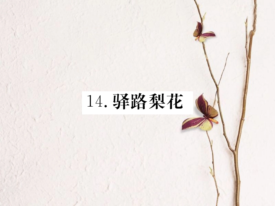七年级语文下册 第四单元 14 驿路梨花课件 新人教版_第1页