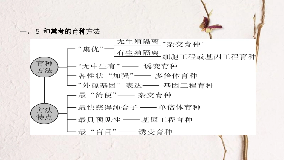 高考生物大一轮精讲复习 小专题八 各种生物育种过程的分析及选择课件_第2页