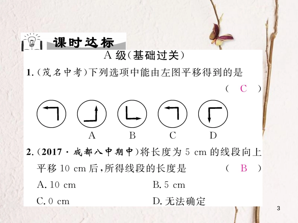 （成都专版）八年级数学下册 第3章 图形的平移与旋转 1 图形的平移 第1课时 平移的概念与性质作业课件 （新版）北师大版_第3页