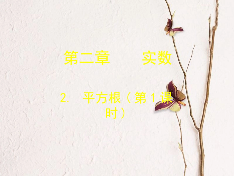 福建省宁德市寿宁县八年级数学上册 第二章 实数 2.2 平方根（第1课时）课件 （新版）北师大版_第1页