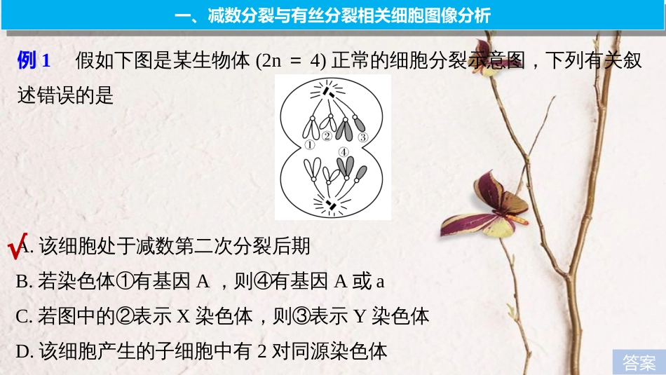 2019版生物高考大一轮复习 热点题型三 多角度辨析减数分裂和有丝分裂课件 北师大版[共39页]_第2页