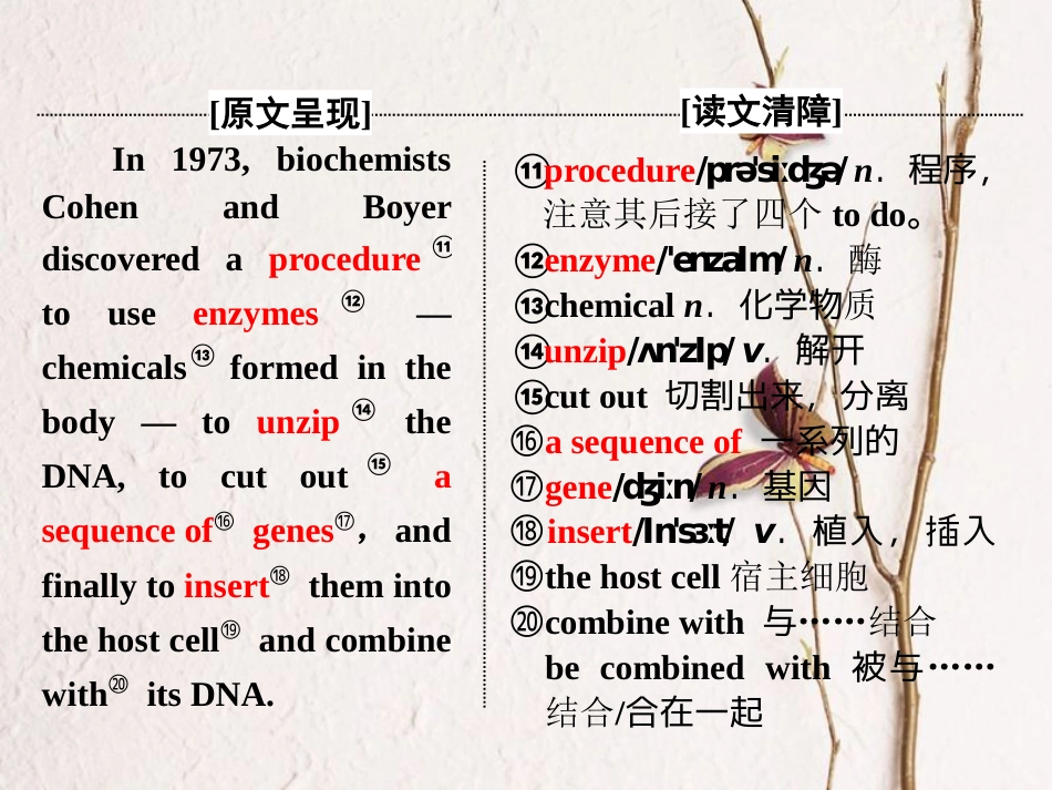 高中英语 Module 5 Cloning Section Ⅳ Other Parts of the Module课件 外研版选修6_第3页