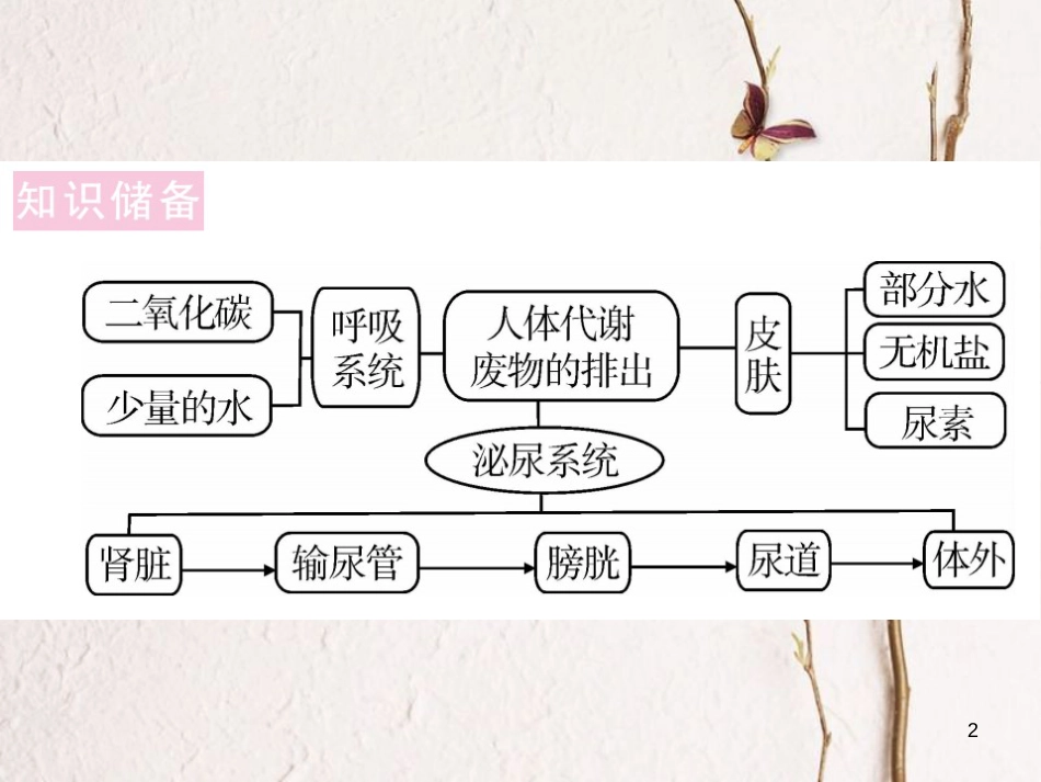 七年级生物下册 热点复习四 人体代谢废物的排出课件 （新版）北师大版_第2页