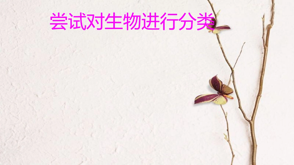 八年级生物上册 第六单元 第一章 第一节《尝试对生物进行分类》课件 （新版）新人教版(1)_第1页