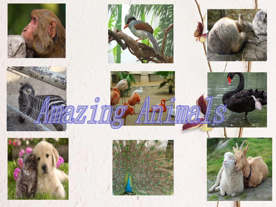 八年级英语下册 Unit 3 Animals Are Our Friends Lesson 14 Amazing Animals课件1 （新版）冀教版_第2页