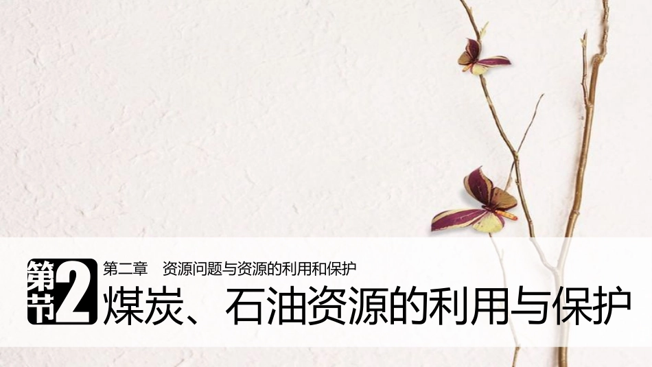 高中地理 第二章 资源问题与资源的利用和保护 第二节 煤炭、石油资源的利用与保护同步备课课件 中图版选修6(1)_第1页