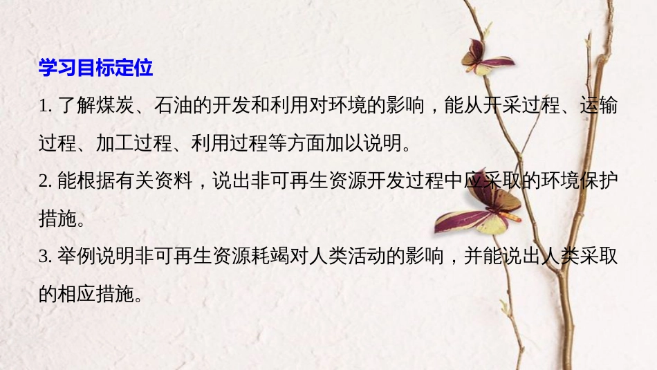 高中地理 第二章 资源问题与资源的利用和保护 第二节 煤炭、石油资源的利用与保护同步备课课件 中图版选修6(1)_第2页