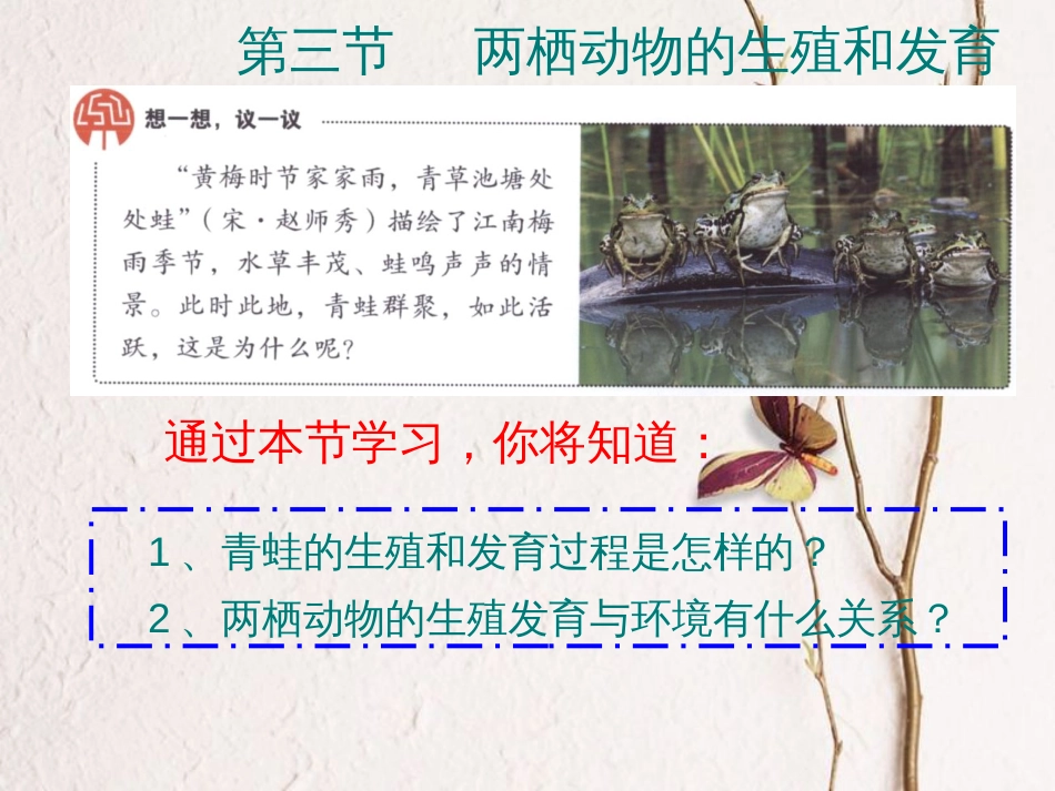 八年级生物下册 7.1.3两栖动物的生殖和发育课件2 （新版）新人教版_第1页