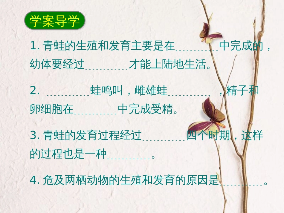 八年级生物下册 7.1.3两栖动物的生殖和发育课件2 （新版）新人教版_第2页