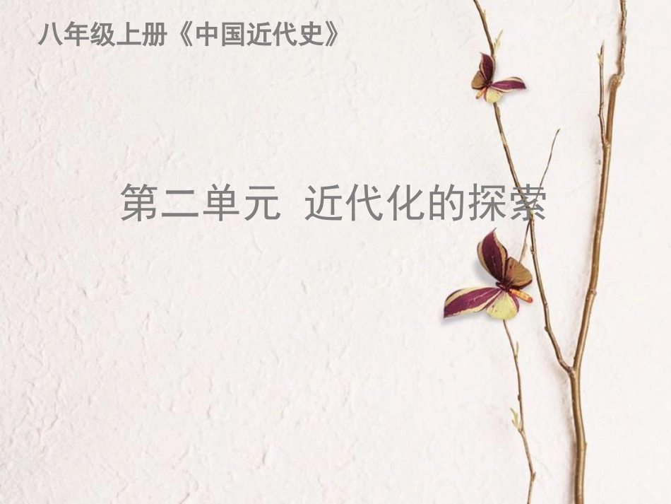 山东省惠民县李庄镇中考历史一轮复习 第二单元 近代化探索课件 新人教版_第2页