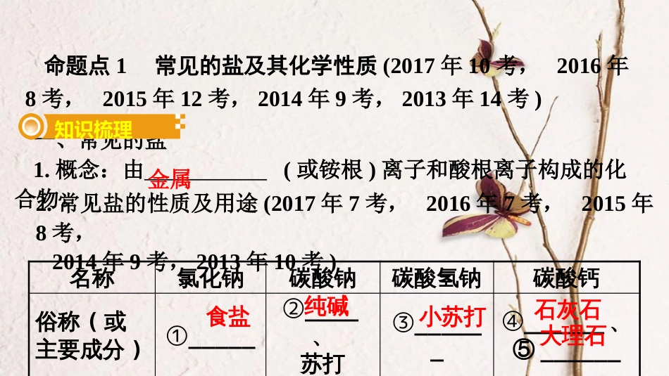 湖南省中考化学 第十一单元 盐 化肥课件(1)_第3页