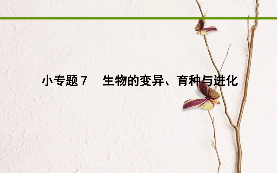 高考生物二轮复习 小专题7 生物的变异、育种与进化课件_第1页