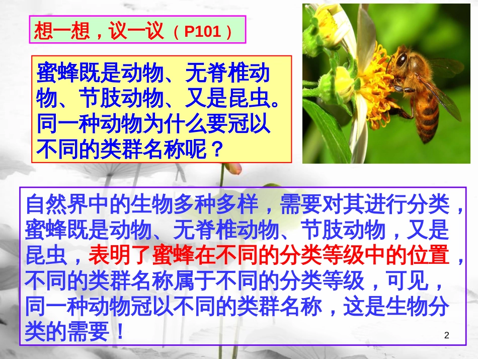 陕西省石泉县八年级生物上册 6.1.2从种到界课件 （新版）新人教版_第2页