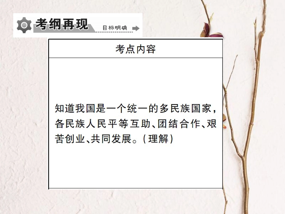 重庆市中考政治 专题复习十七 维护民族团结发展 倡导多元文化交融课件_第2页