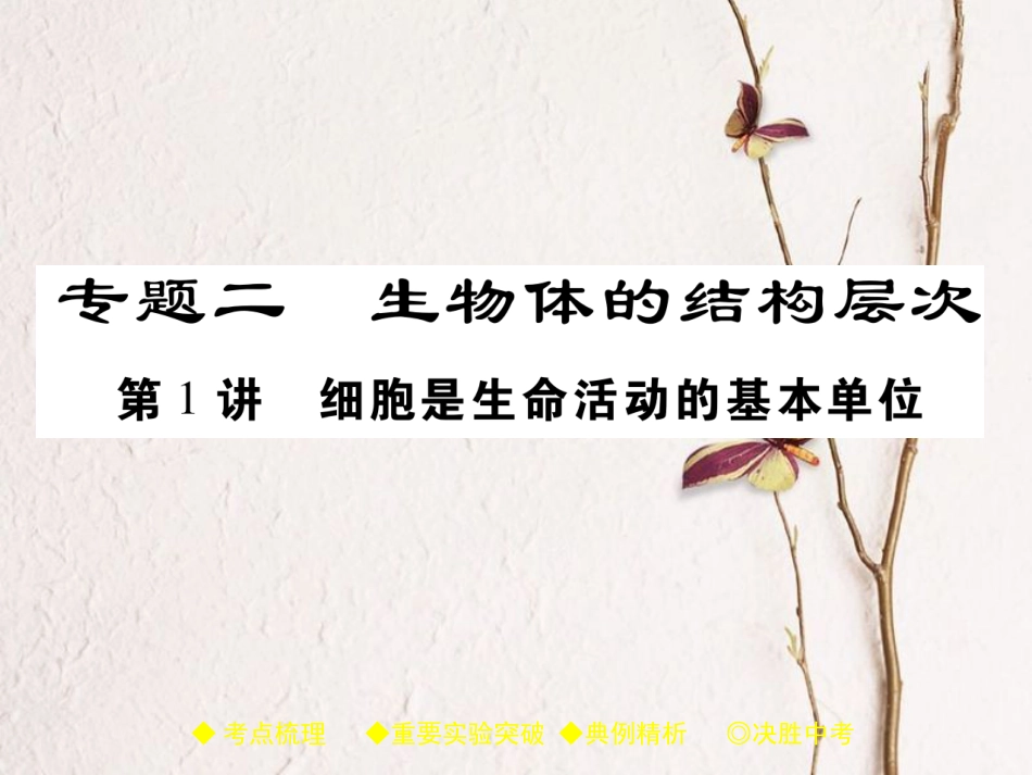 中考生物总复习 专题突破二 生物体的结构层次 第1讲课件(1)_第1页