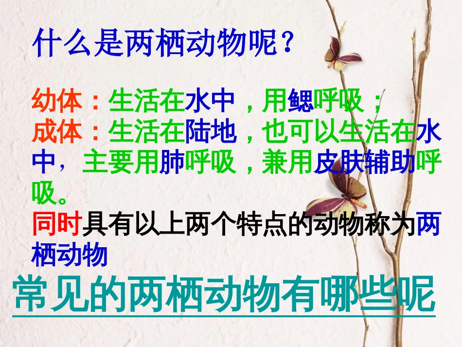 广东省深圳市八年级生物上册 19.2两栖动物的生殖与发育课件 （新版）北师大版_第3页