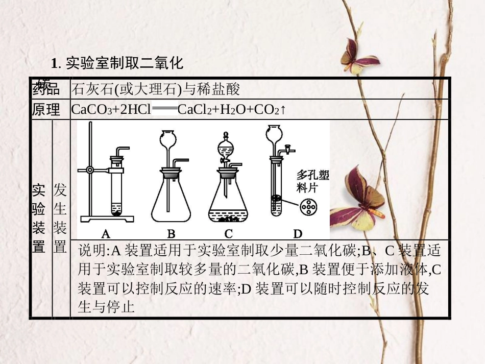 （安徽专版）中考化学总复习 实验6 二氧化碳的实验室制取课件_第2页