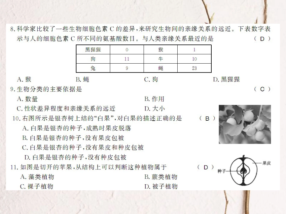 八年级生物下册 期中测评卷课件 （新版）北师大版(1)_第3页