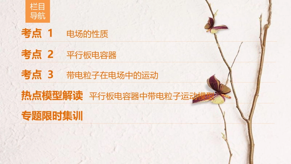 高考物理二轮复习 第1部分 专题整合突破 专题8 电场的性质 带电粒子在电场中的运动课件_第2页