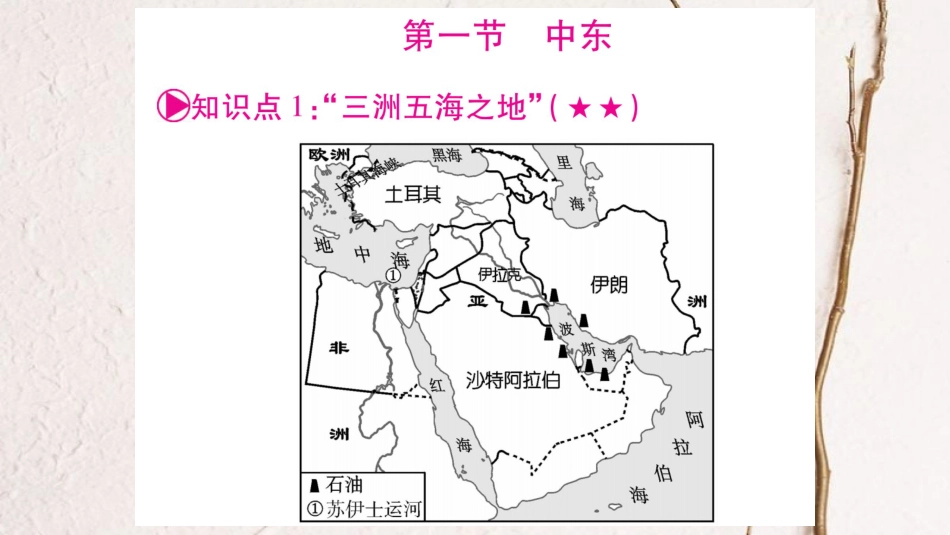 （人教版通用）中考地理总复习 七下 第8章 东半球其他的地区和国家 第1课时 中东和欧洲西部课件_第2页