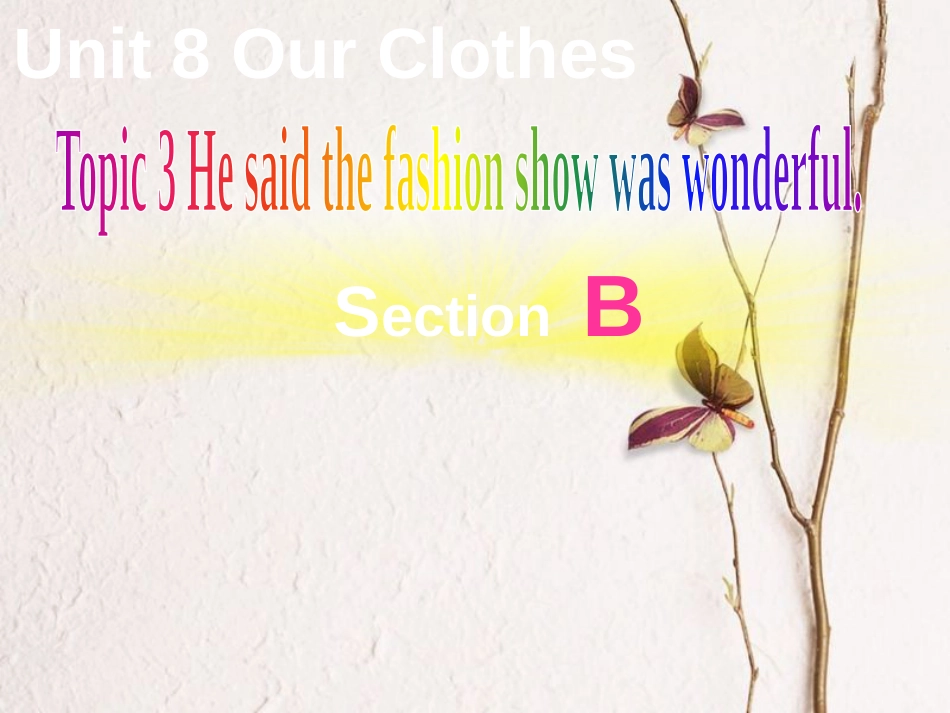 广东省清远市佛冈县龙山镇八年级英语下册 Unit 8 Our Clothes Topic 3 He said the fashion show was wonderful Section B课件 （新版）仁爱版_第1页