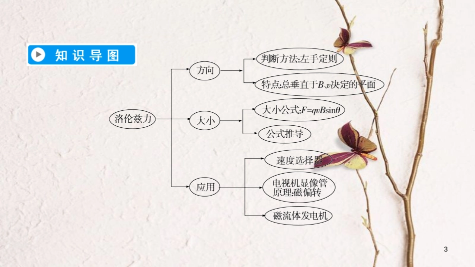 高中物理 第三章 磁场 5 运动电荷在磁场中受到的力课件 新人教版选修3-1_第3页