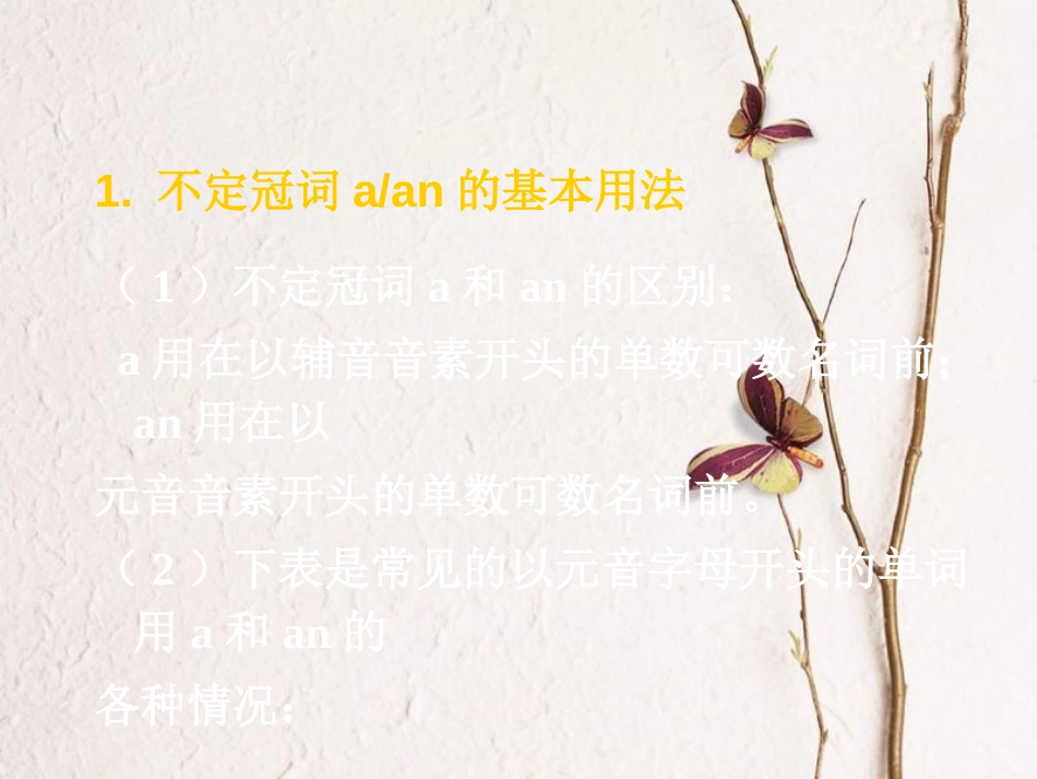 云南省中考英语复习 第二部分 语法专题研究 专题三 冠词课件_第3页