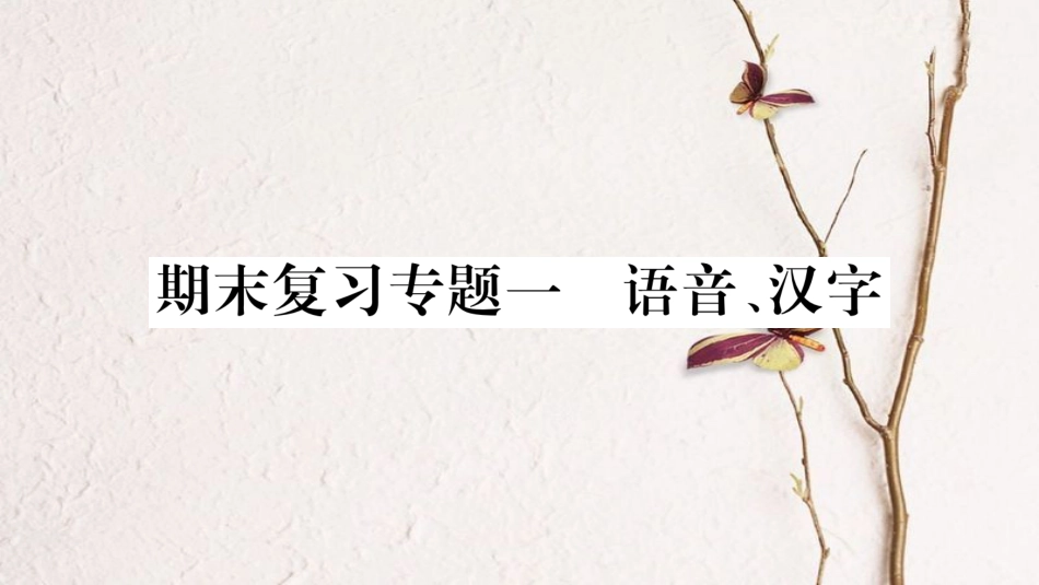 八年级语文下册 期末复习专题1 语言汉字课件 新人教版_第1页