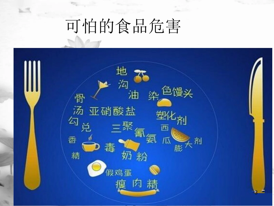 九年级政治全册 第四单元 又到两会时 第十二课《法律的尊严》课件2 教科版(1)_第3页