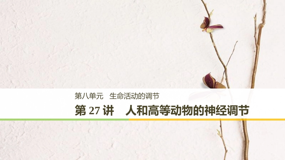高考生物一轮复习 第8单元 生命活动的调节 第27讲 人和高等动物的神经调节课件(1)_第1页
