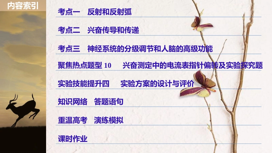 高考生物一轮复习 第8单元 生命活动的调节 第27讲 人和高等动物的神经调节课件(1)_第3页