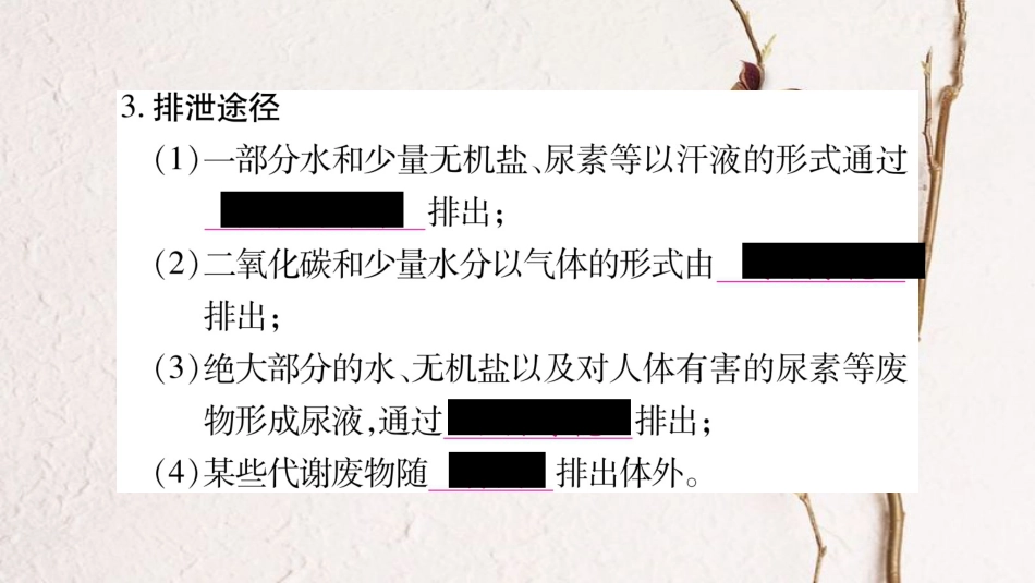 中考生物总复习 教材考点梳理 七下 第4单元 第11章 人体代谢废物的排出课件 北师大版_第3页