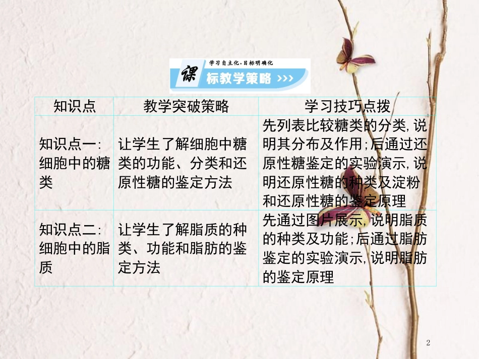 高中生物 第2单元 细胞的化学组成 第2课时 细胞中的生物大分子（一）复习课件 苏教版必修1_第2页