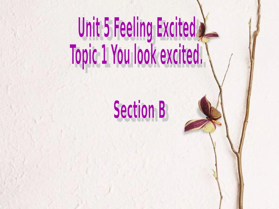 广东省清远市佛冈县龙山镇八年级英语下册 Unit 5 Feeling excited Topic 1 You look excited Section B课件 （新版）仁爱版_第1页