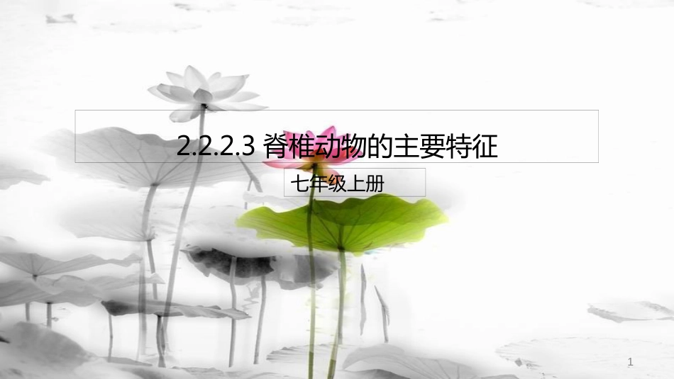 七年级生物上册 2.2.2 脊椎动物的主要类群课件3 （新版）济南版(1)_第1页